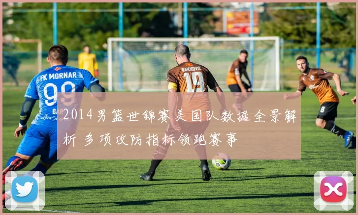 2014男篮世锦赛美国队数据全景解析 多项攻防指标领跑赛事