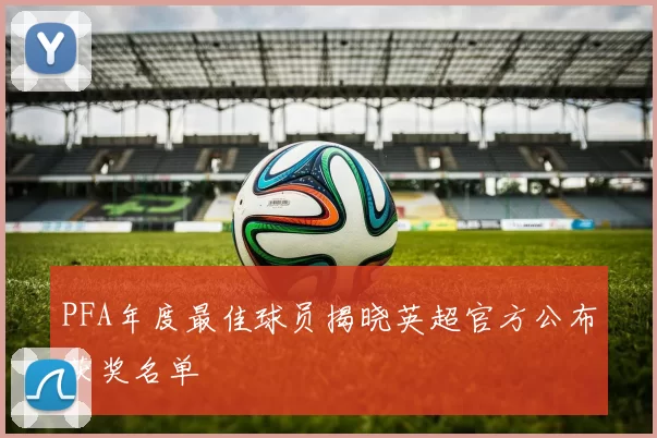 PFA年度最佳球员揭晓英超官方公布获奖名单