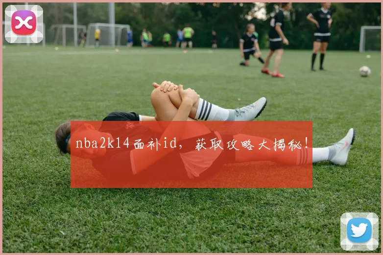 nba2k14面补id,获取攻略大揭秘!