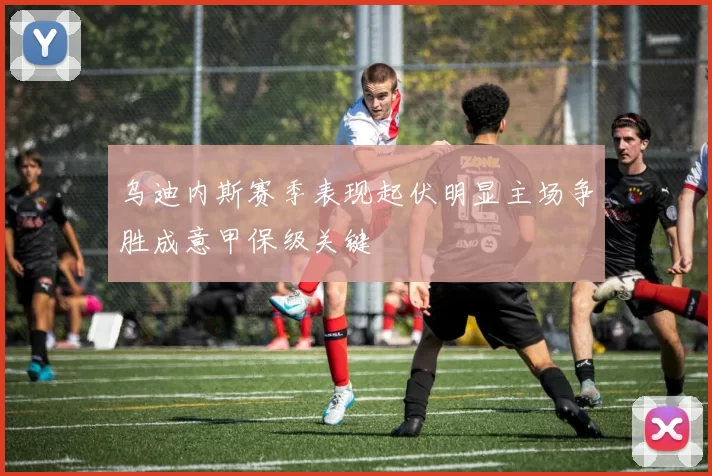 乌迪内斯赛季表现起伏明显主场争胜成意甲保级关键