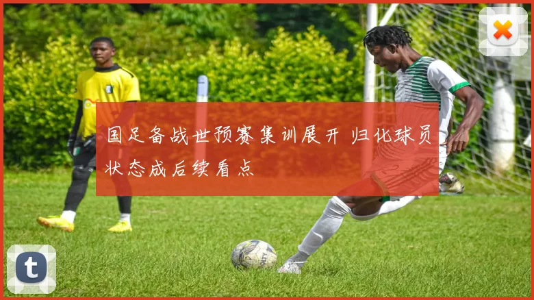 国足备战世预赛集训展开 归化球员状态成后续看点