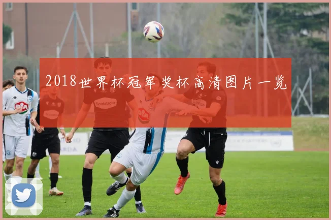 2018世界杯冠军奖杯高清图片一览