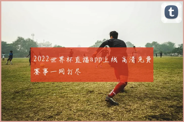 2022世界杯直播app上线 高清免费赛事一网打尽